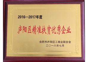 安徽鼎鑫投資集團榮獲2016-2017年度廬陽區(qū)精準扶貧優(yōu)秀企業(yè)稱號